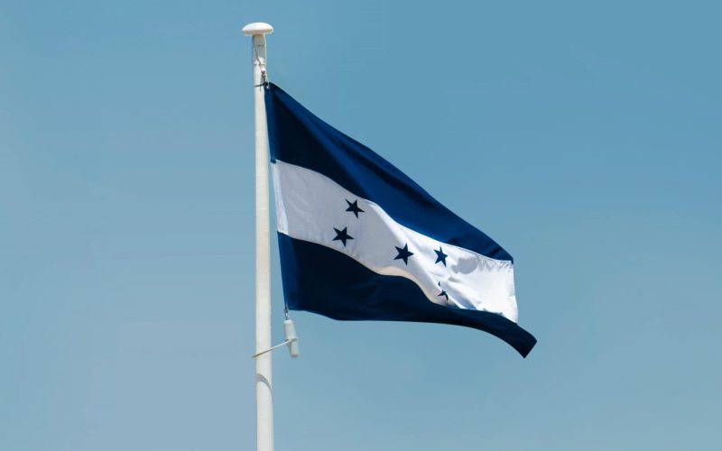 pexels-aboodi-13966950