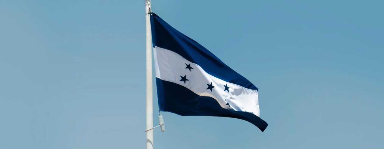 pexels-aboodi-13966950