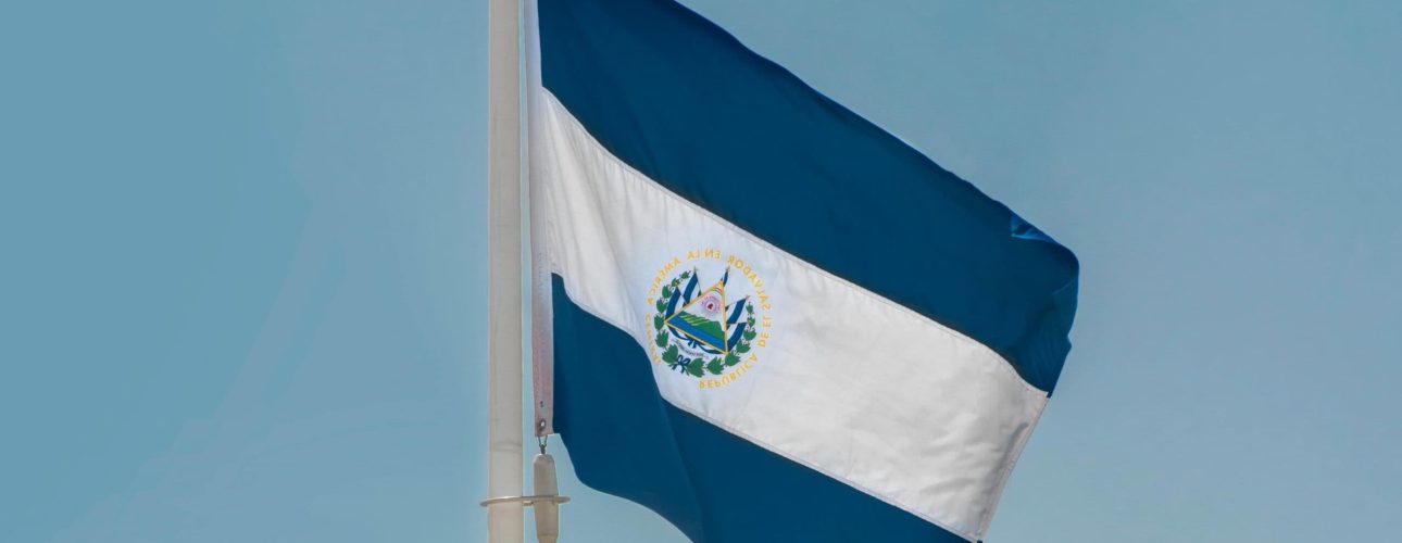 pexels-aboodi-13992158