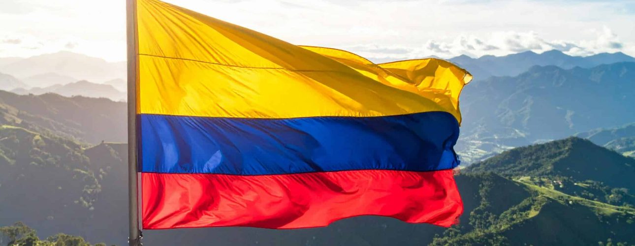 pexels-alejandro-jovica-814197121-32429348