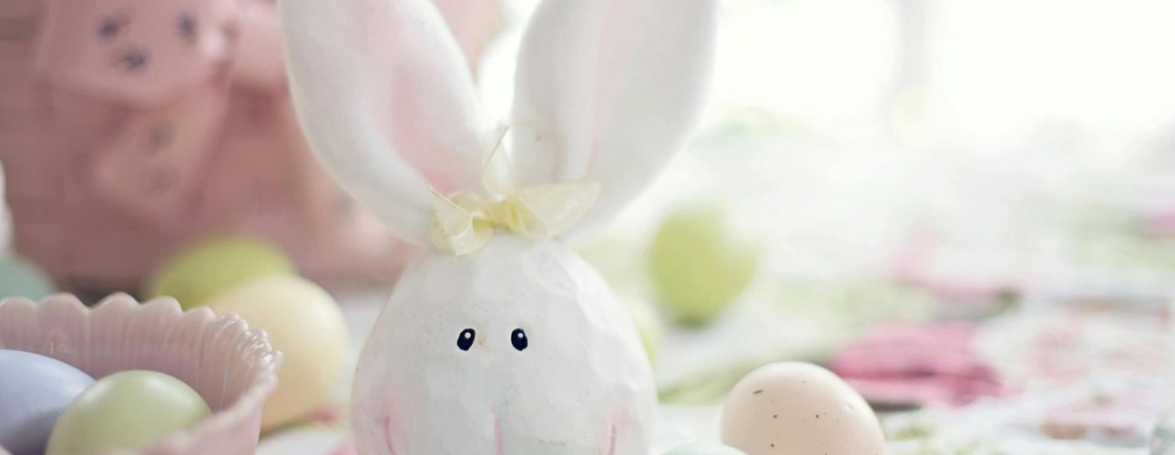 pexels-jill-wellington-1638660-3979241