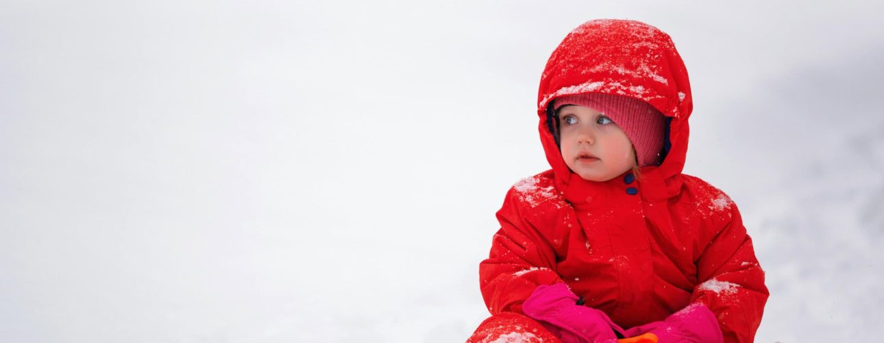 pexels-kovyrina-1849335