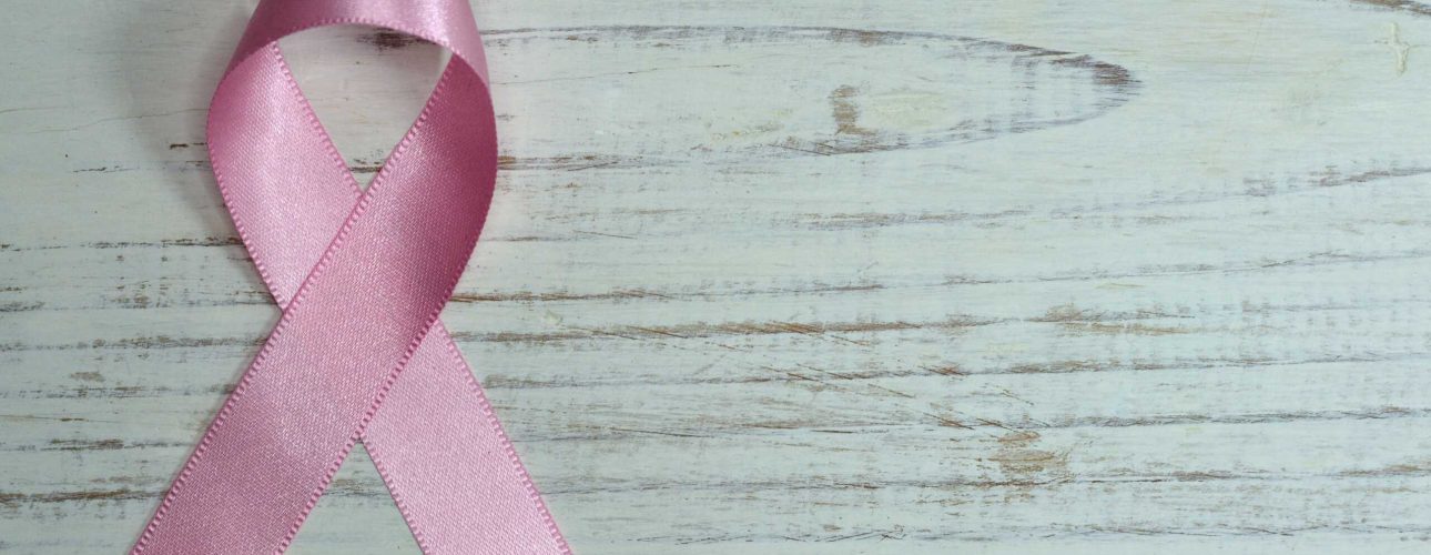 pexels-miguel-á-padriñán-579474